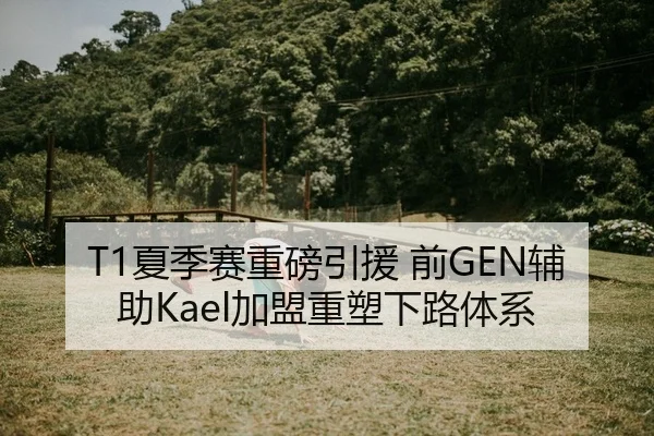 T1夏季赛重磅引援 前GEN辅助Kael加盟重塑下路体系